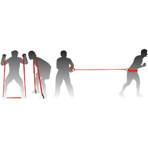 Multi-activity elastic reinforcement Multi-activity elastic reinforcement