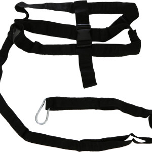 Resistance harness