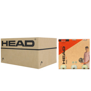 Box of 8 packs of 3 tubes of 3 HEAD padel balls Box of 8 packs of 3 tubes of 3 HEAD padel balls