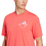 T-shirt ADIDAS graphic pickleball