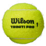 Tube of 4 WILSON triniti pro balls