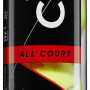 Tube of 4 DUNLOP club all court balls