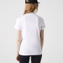 Women's LACOSTE t-shirt Women's LACOSTE t-shirt