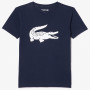 T-shirt LACOSTE junior croco T-shirt LACOSTE junior croco