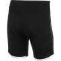 LE COQ SPORTIF tennis training shorts LE COQ SPORTIF tennis training shorts
