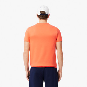 Pack fan LACOSTE djokovic t-shirt + casquette