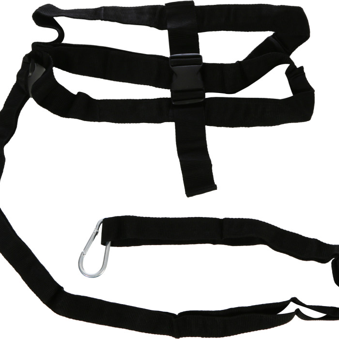 Resistance harness Resistance harness