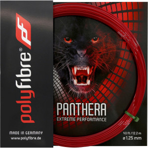 Panthera polyfiber rope (12,2 metres)