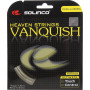 Cordage SOLINCO vanquish (12 metres)