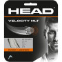 Cordage HEAD velocity mlt