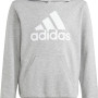 Sweat ADIDAS junior garcon big logo a capuche