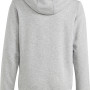 Sweat ADIDAS junior garcon big logo a capuche