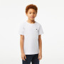 Junior LACOSTE t-shirt