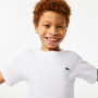 Junior LACOSTE t-shirt
