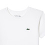Junior LACOSTE t-shirt