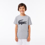 LACOSTE junior core performance t-shirt