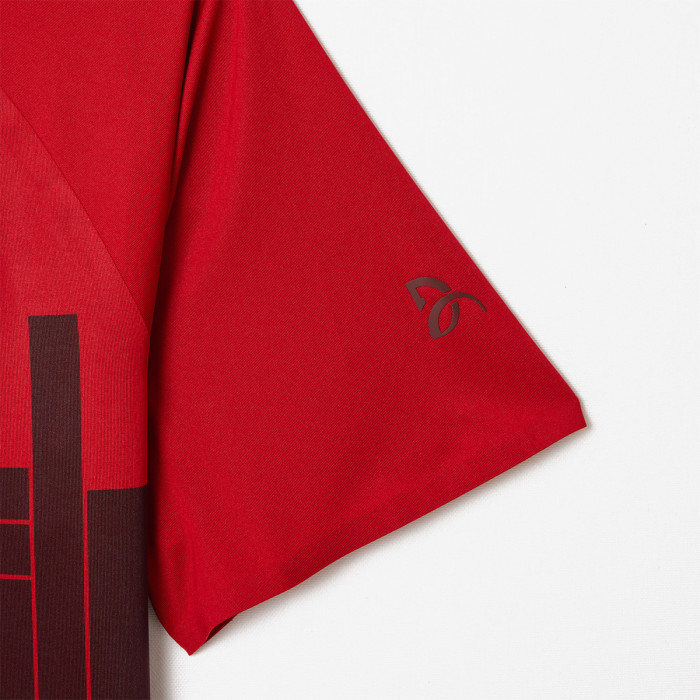 Polo LACOSTE djokovic asie/europe