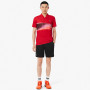 Short LACOSTE medvedev turin