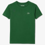 T-shirt LACOSTE junior logo