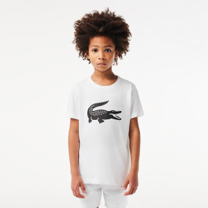 T-shirt LACOSTE junior croco T-shirt LACOSTE junior croco
