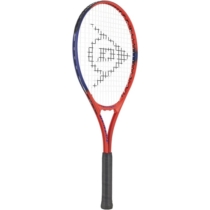 DUNLOP tristorm junior 25 racket (242 gr)