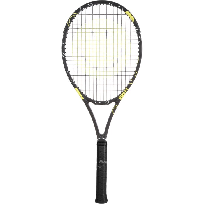 Raquette PRINCE/smiley performance beast (265gr)