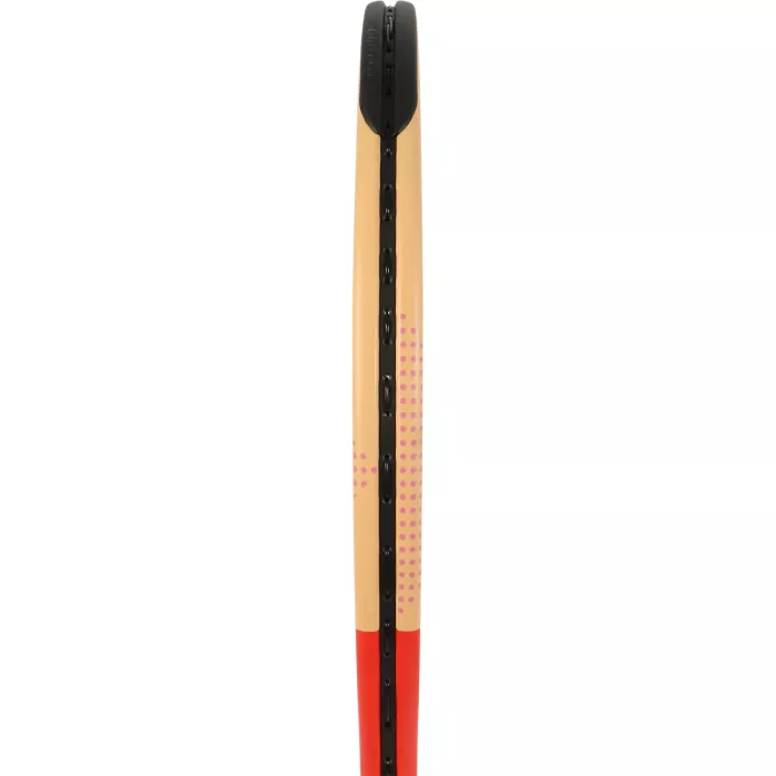 Raquette DUNLOP tristorm team 100 (285 gr)