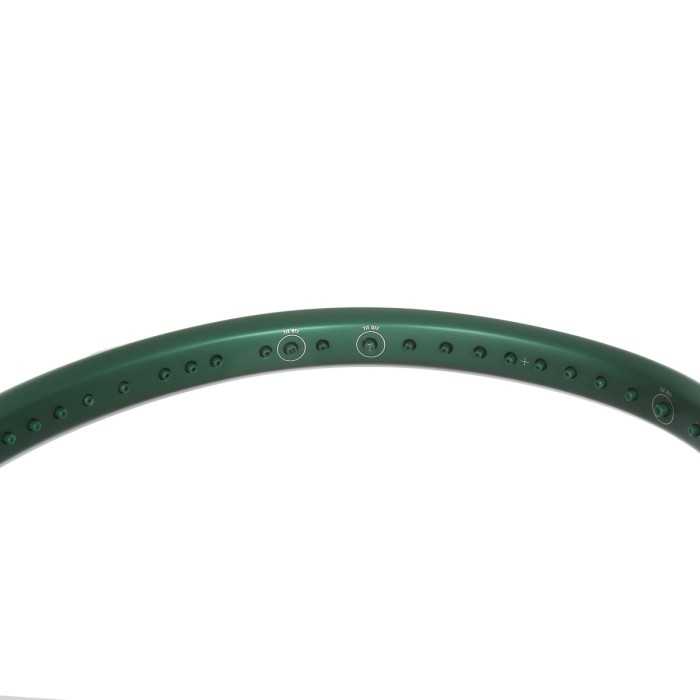 Raquette LACOSTE l23 (300 gr)