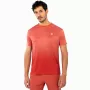 T-shirt TECNIFIBRE team x-loop
