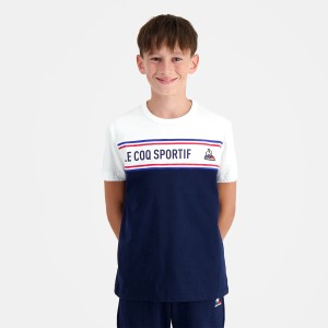 Junior LE COQ SPORTIF tricolore n°2 t-shirt