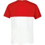 Junior LE COQ SPORTIF tricolore n°2 t-shirt