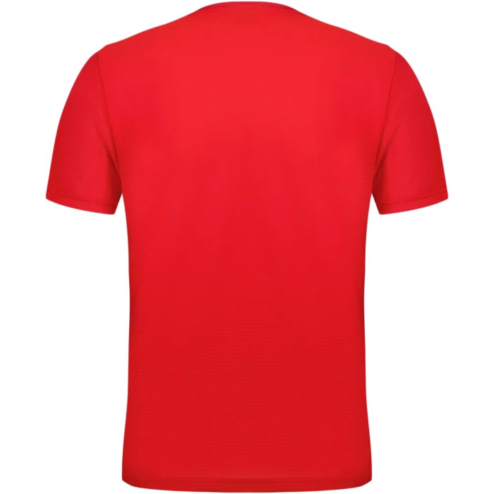 T-shirt LE COQ SPORTIF tennis