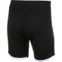 LE COQ SPORTIF tennis training shorts