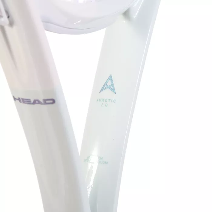 Raquette HEAD power 110 (265 gr)