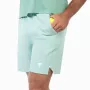 Šorti TECNIFIBRE Team Stretch sage