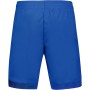 Junior boys LE COQ SPORTIF tennis pro euro clay shorts