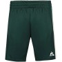 LE COQ SPORTIF tennis pro new york shorts