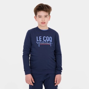 Sweat LE COQ SPORTIF junior tricolore