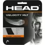 Cordage HEAD velocity mlt (12 metres)
