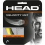 Cordage HEAD velocity mlt