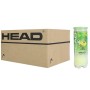 Carton de 24 tubes de 3 balles HEAD tip vert