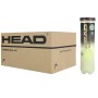 Carton de 18 tubes de 4 balles HEAD tour xt