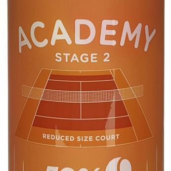 Tube of 3 TRETORN academy orange balls