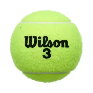Tube of 4 WILSON roland garros all court balls