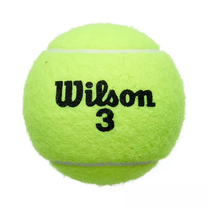 Tube of 4 WILSON roland garros all court balls