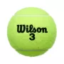 Tube of 4 WILSON roland garros all court balls