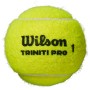 Tube of 4 WILSON triniti pro balls