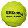 Tube of 3 WILSON triniti pro balls