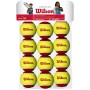 Bag of 12 WILSON starter red balls