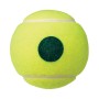 Barrel of 60 green YONEX tmp-40 balls